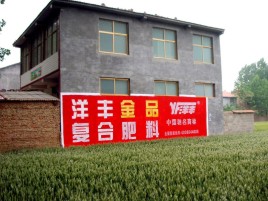 都昌如何让墙体广告展现最大化效果