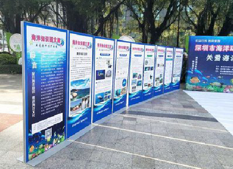 都昌KT板的种类和知识。